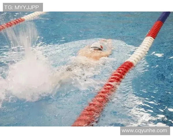 高效提升自由泳技巧与耐力的全面训练计划与方法解析